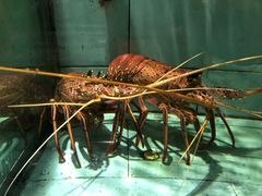 -船奇蒸汽海鲜·闽菜(八市海鲜总店)