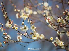 -欧歌堡KTV PARTY(万濠城店)