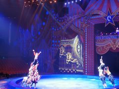 -珠海横琴长隆《卡卡虎奇遇记》