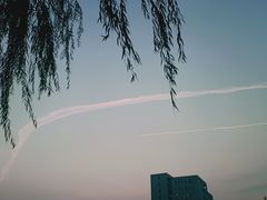 -黑龙江中医药大学