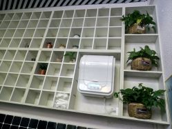 -吉米护肤造型