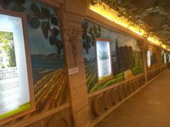 -青岛葡萄酒博物馆