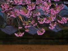 -天龙八部武侠城