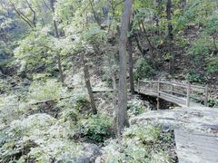 -北京上方山国家森林公园