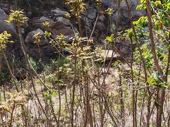 -昆嵛山石门里景区