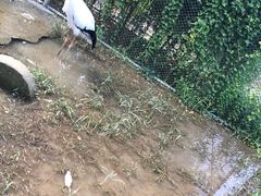 -兰陵国家农业公园