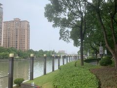 -陈家山荷花公园