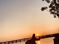 -宝安西湾红树林湿地公园