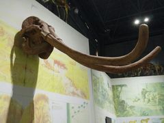 -中国西峡恐龙遗迹园