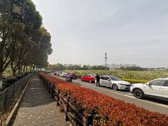 -树山生态村