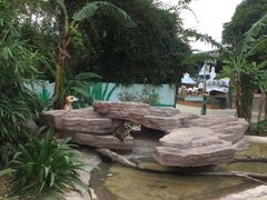 -泉州海丝野生动物世界