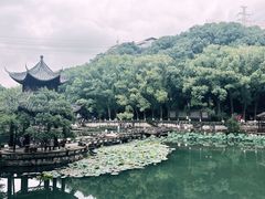 -忠山公园