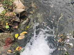 -寨沙侗寨(侗族歌堂)