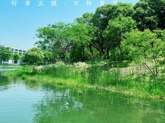 -尚贤河湿地