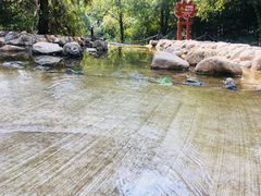 -静之湖湖畔餐厅