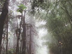-重庆雨台山风景区