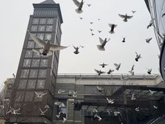 -中粮·祥云小镇