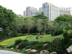 景点-广州珠江公园