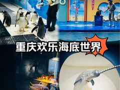 -重庆欢乐海底世界