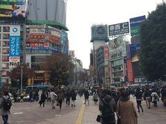-涩谷区