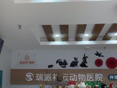 -瑞派·关忠动物医院猫科外科·异宠·24小时转诊中心(祥云店)