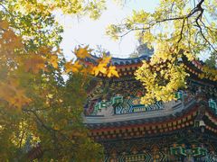 -香山公园