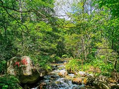-玉渡山自然风景区