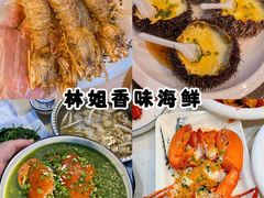 -亚龙湾热带天堂森林公园