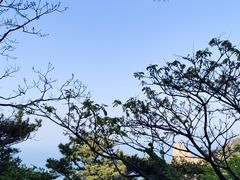 -崂山仰口游览区