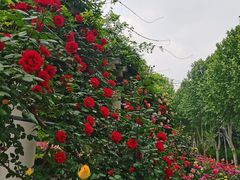 -郑州植物园