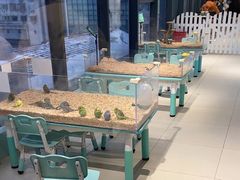 -怪兽屋·羊驼·猫咖·狗咖(俊华广场店)