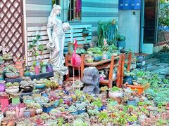 -杨厝六十六农庄农舍(杨厝路店)