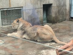 -西安秦岭野生动物园
