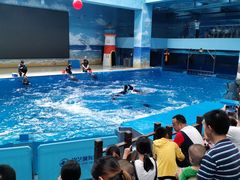 -锦艺城海洋馆