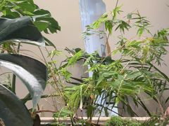 -茄子恰恰·新云南小炒(金池购物中心店)