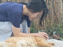 -小时光咖啡馆(开森度假森林店)