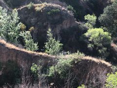 -磬锤峰森林公园