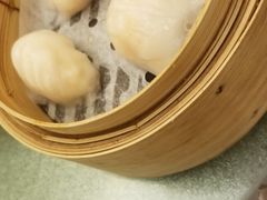 晶莹鲜虾饺-添好运点心专门店(深水埗店)
