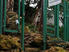 -瀛洲公园