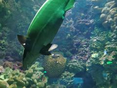 -海合安青岛极地海洋公园