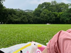 -中国科学院华南植物园