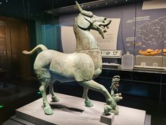 -广西壮族自治区博物馆