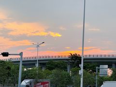 -宝安西湾红树林湿地公园