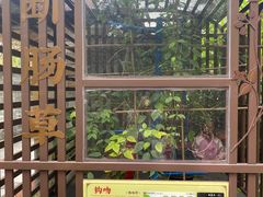 -广州神农草堂中医药博物馆