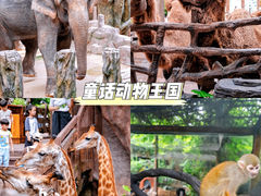 -长鹿旅游休博园