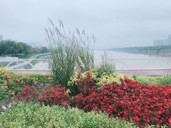 -灞河西岸滨河公园