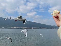 -海埂大坝
