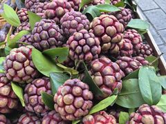 -寨子里的·钵钵菜·湘西山里菜(魅力湘西店)