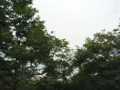 -石老人观光园
