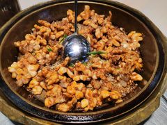 -港升鱼师傅·中山脆肉鲩